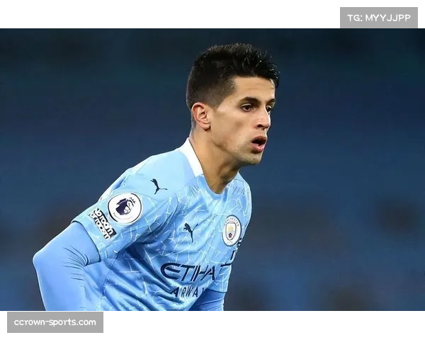 葡萄牙后防老化问题凸显 佩佩坎塞洛状态下滑成隐患